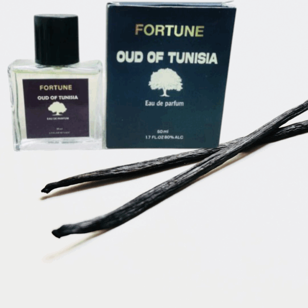 Oud Of Tunisia – Image 3